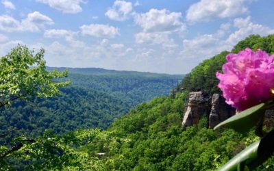 NRG: A Gorge-ous West Virginia Vacation Destination